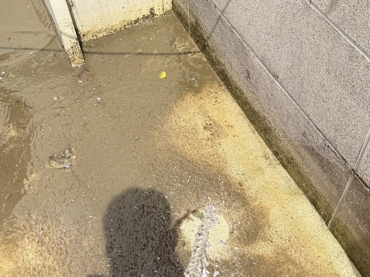 양주시 삼숭동 배관 관리실·기계실 위생청소 사례 - 행진크린